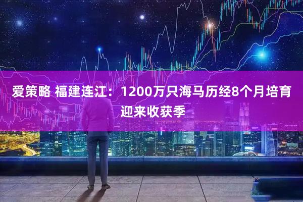 爱策略 福建连江：1200万只海马历经8个月培育 迎来收获季