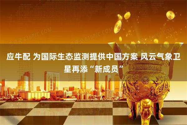 应牛配 为国际生态监测提供中国方案 风云气象卫星再添“新成员”