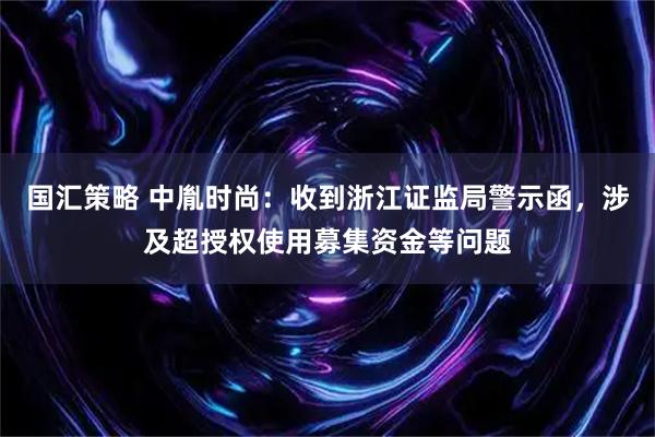 国汇策略 中胤时尚：收到浙江证监局警示函，涉及超授权使用募集资金等问题