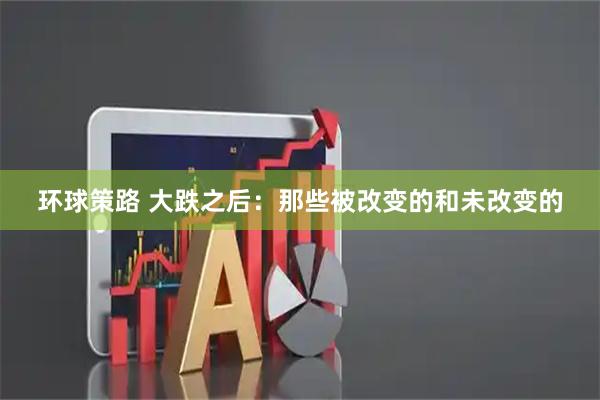 环球策路 大跌之后：那些被改变的和未改变的